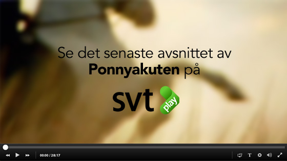 Till SVT Play